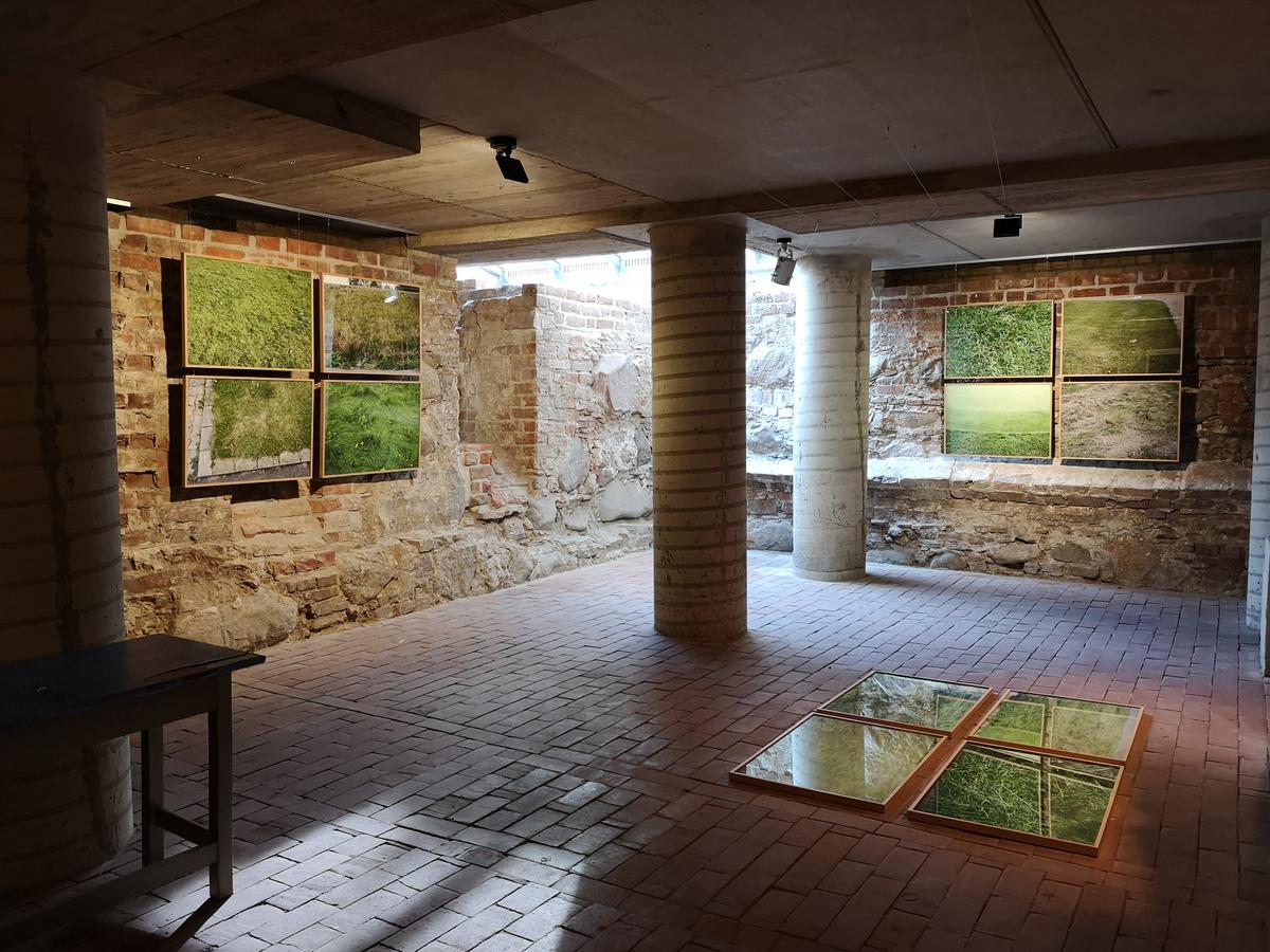 Bild der Ausstellung Anthropogene Landschaften in der Galerie Historischer Keller in Spandau 2020