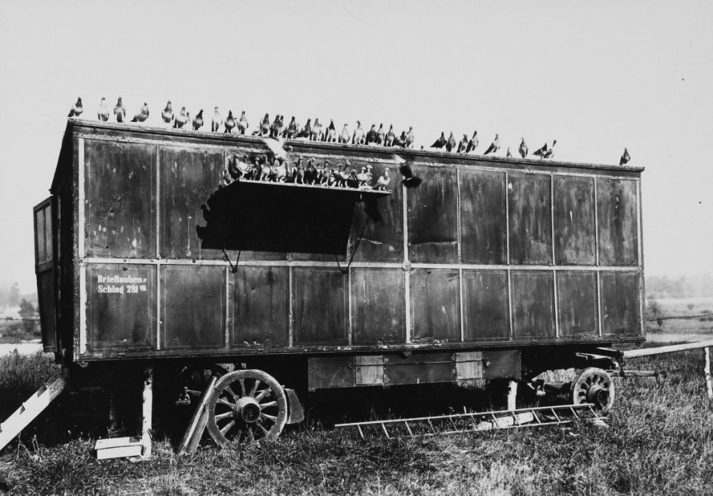 Fahrbarer Taubenschlag der Lehr-Zucht- und Versuchsanstalt für Heeresbrieftauben, 1914-1918, Foto: Gustav Lamprecht