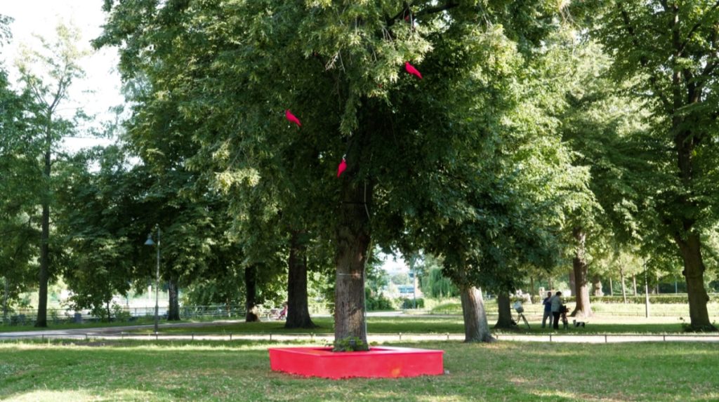 Der „Pigeon tree“ zu #Gurren und Zwitschern im Wröhmännerpark im Juli 2021. Pigeon Loft