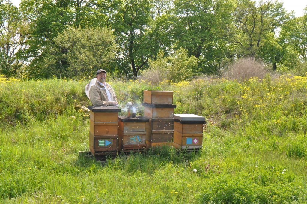 Der Imker bei den Bienenkästen