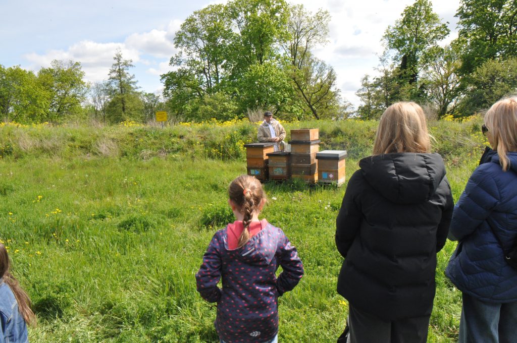 Kinder schauen dem Imker bei den Bienen zu